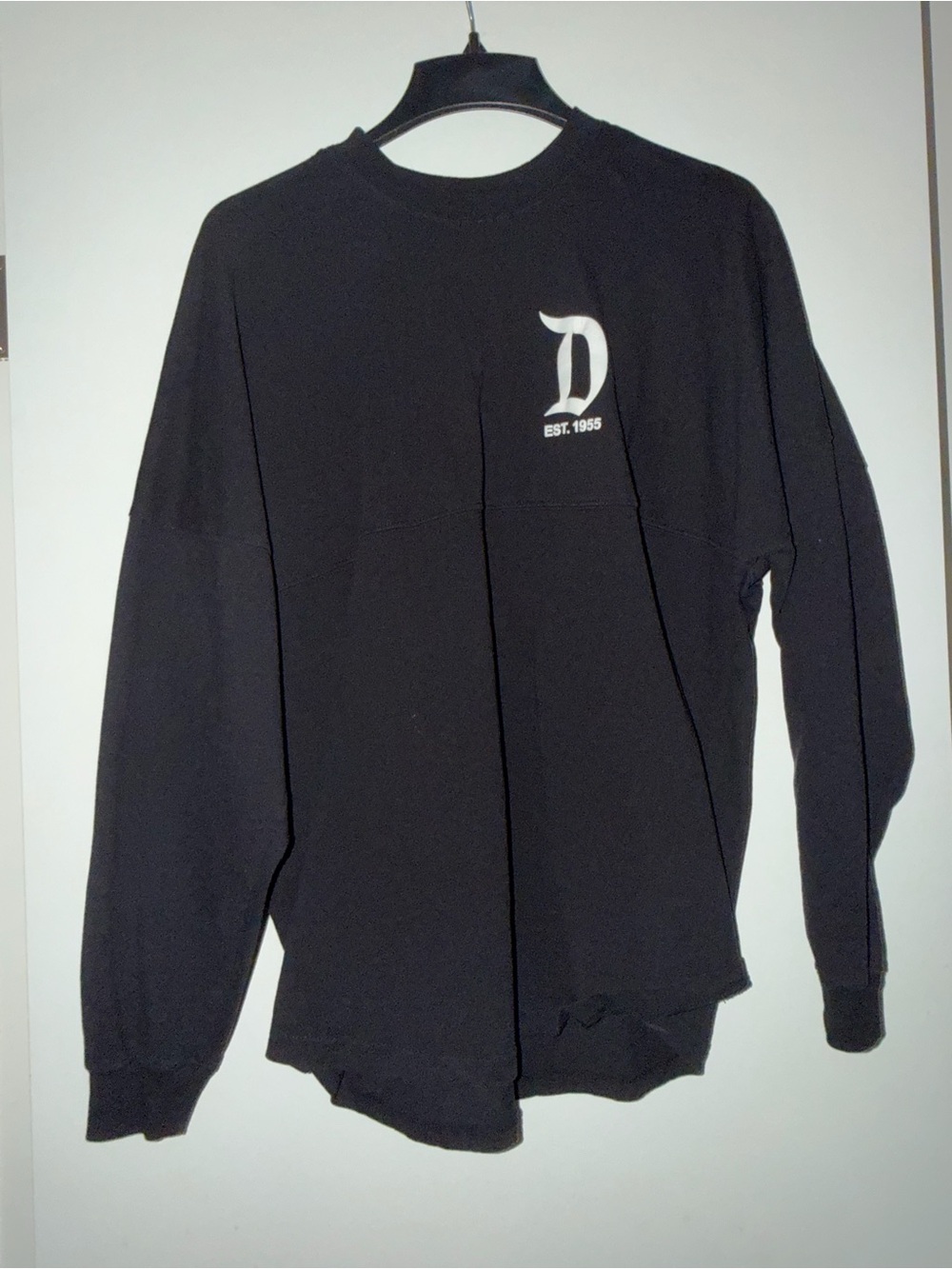 Disneyland Spirit Jersey Large